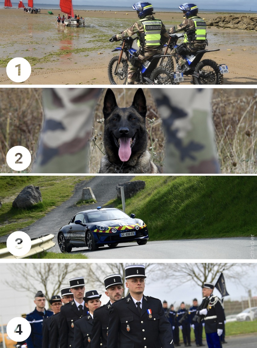 Gendarmerie de la Charente-Maritime tweet media
