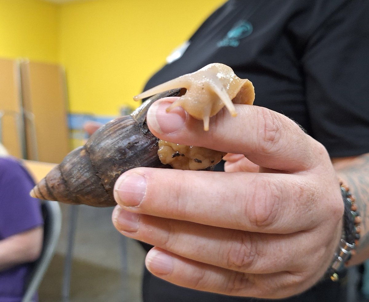 A magical Wednesday afternoon at STAND's meeting centre space at Cadham Neighbourhood Centre in Glenrothes. We had a visit from the castle of Harry Potter today.