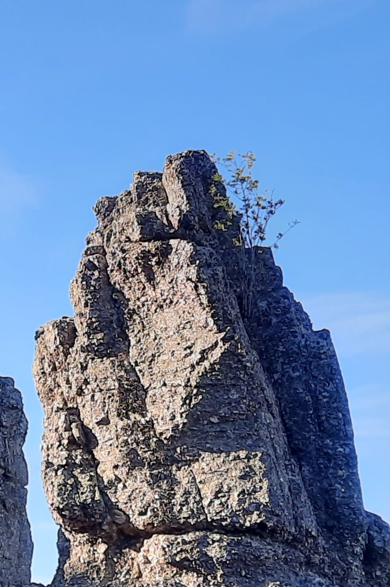 Llegar a lugares de dificil acceso y estar en un lugar.. donde  parece que hace mucho que no estubo nadie..  y seguramente nadie  vendra.