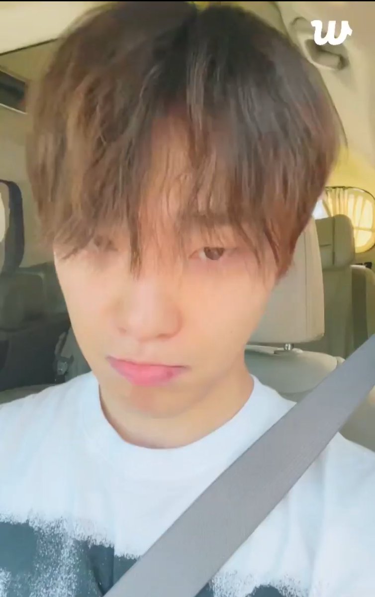 디노삐쳣다
왜토라졋지