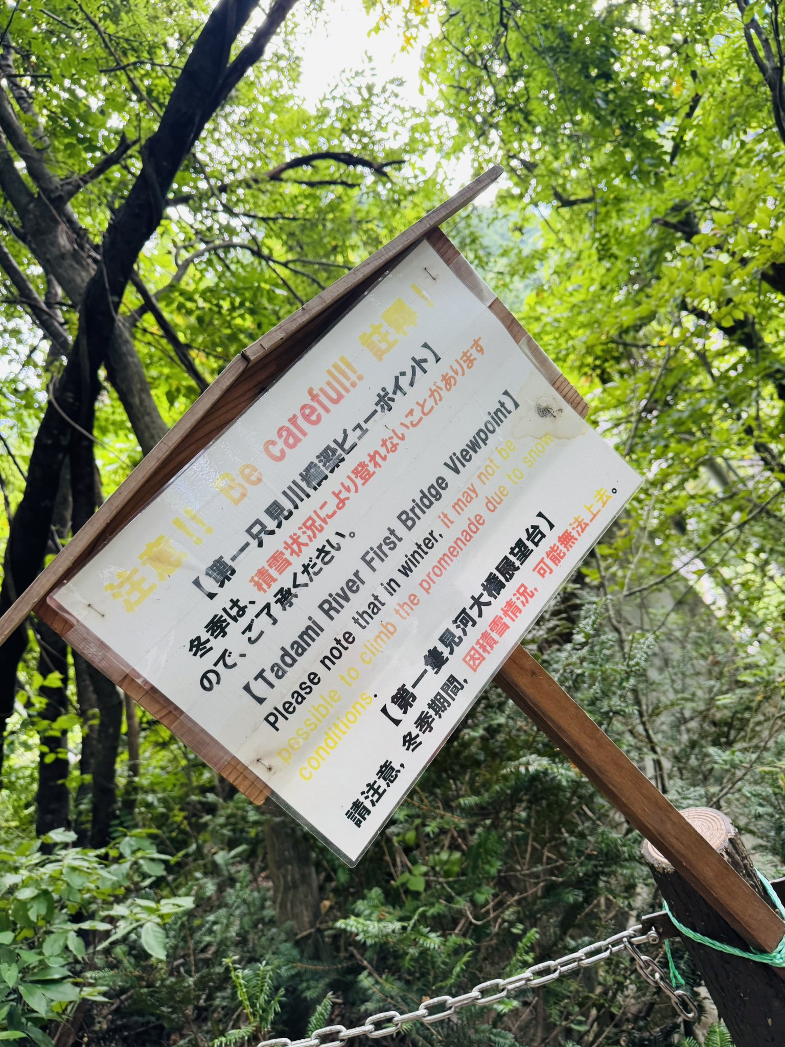 【まあさん】ことりのおおきなあそびば まあさん】ことりのおおきなあそびば オマ@コトリアーケード