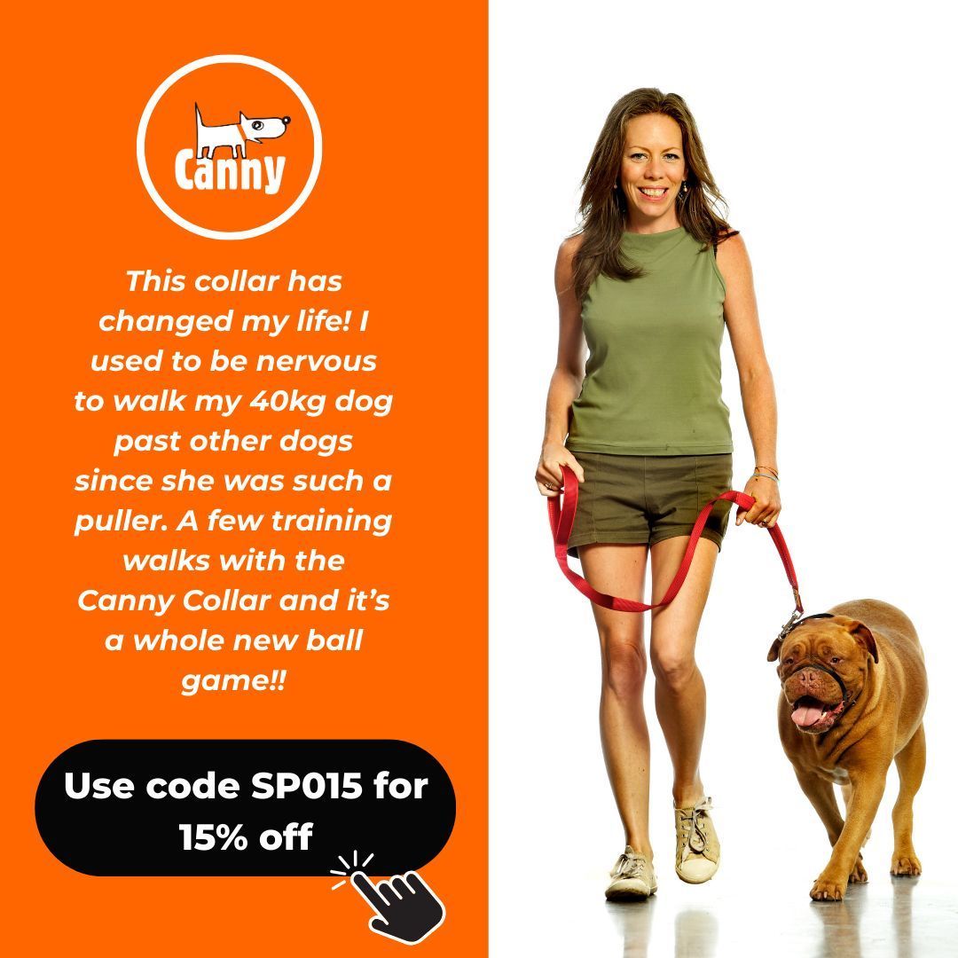 “This collar has changed my life!'' – Tracy 🐾
No more nervous walks with her 40kg puller – just calm, confident strolls.

15% OFF storewide until 31 Aug – Code SP015 👉 cannyco.co.uk

#DogTraining #BetterDogWalks #DogDeals