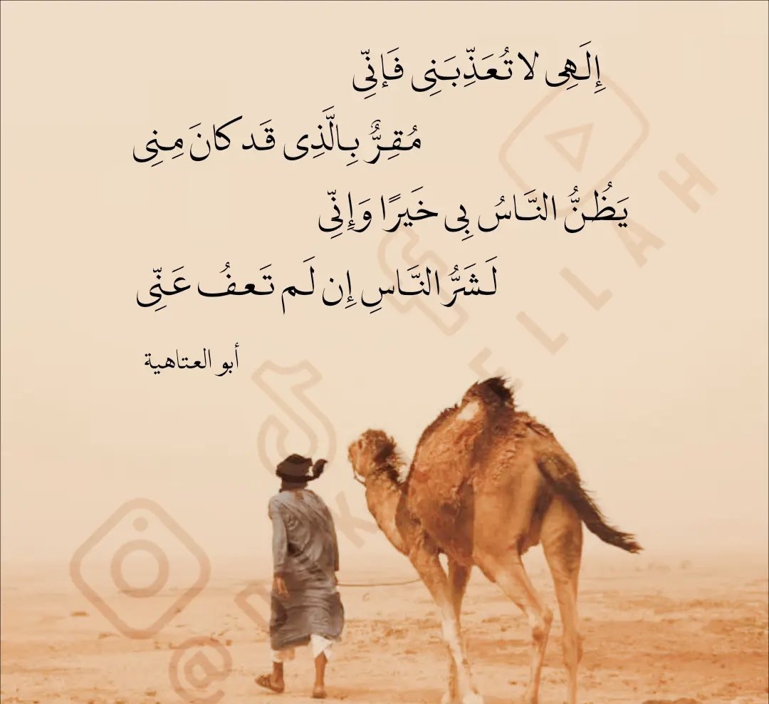 Ali Gazal (@aligazal) on Twitter photo 