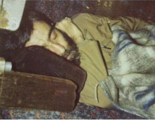 سِتیا tweet media