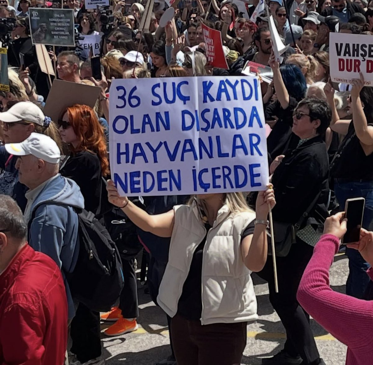 guclusinemm's tweet photo. Hayvanlarla güvenli olan sokakları toplatılması sokakta olmaması gereken insanlığını yitirmiş iblislerle güvensiz yaptınız . Çocuklara ,hayvanlara ,ormanlara yaşattığınız cehennem sizin cennetiniz olmayacak . https://t.co/fvOSogg0hJ