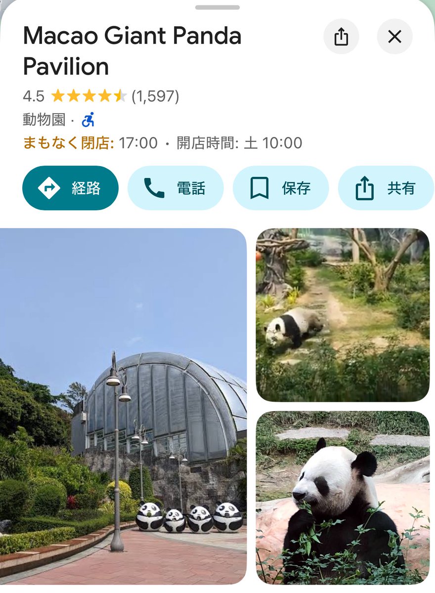 パンダ見に行ってるフニたんの方がかわええ🥴💕