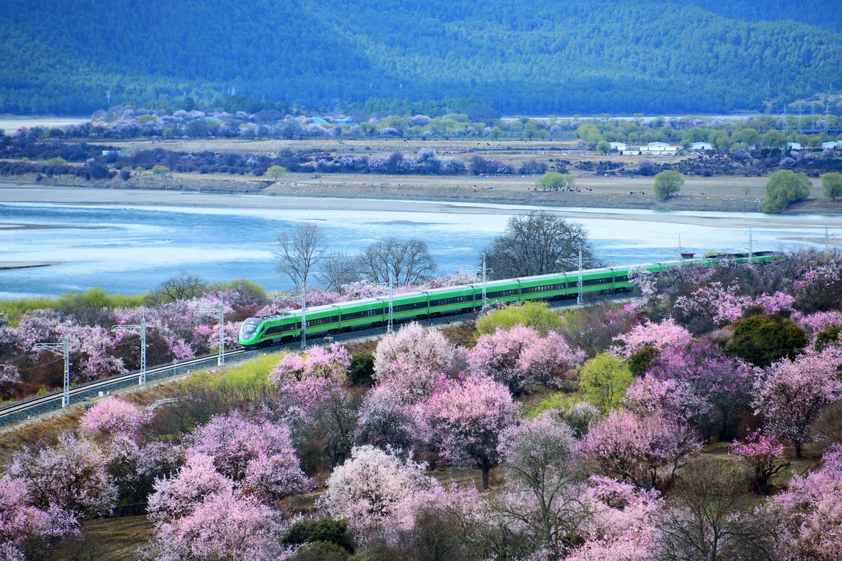 This year, the Lhasa-Shigatse Railway—a 'sister line' of the Lhasa-Nyingchi Railway connecting Tibet's capital with Shigatse—was upgraded to the region's first fully Fuxing bullet train-operated route.
