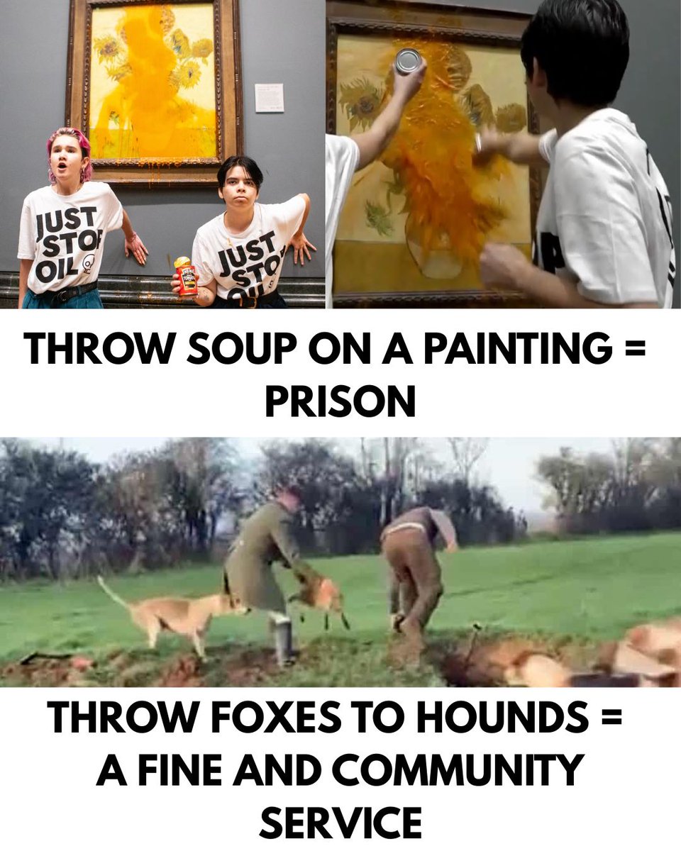 In 2022, Just Stop Oil activists Phoebe Plummer and Anna Holland threw soup on Van Gogh’s Sunflowers. The painting was protected behind glass and untouched. The frame was retouched for just £150 before the artwork was back on the wall that same day.

Yet both activists were