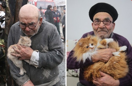 Vi ricordate di "nonno Alì", la cui casa è andata a fuoco ed è scampato alle fiamme con il suo gatto ?
Eccoli qua ora..🤗❤️