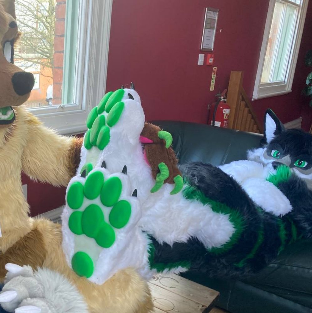 Corasik2's tweet photo. #FursuitFriday its still #Pawgust and I found a willing paw admirer to give me a bean inspection! 

Featuring @InariGshep 
🪡 @RandDfursuits https://t.co/rWklZPTOq2