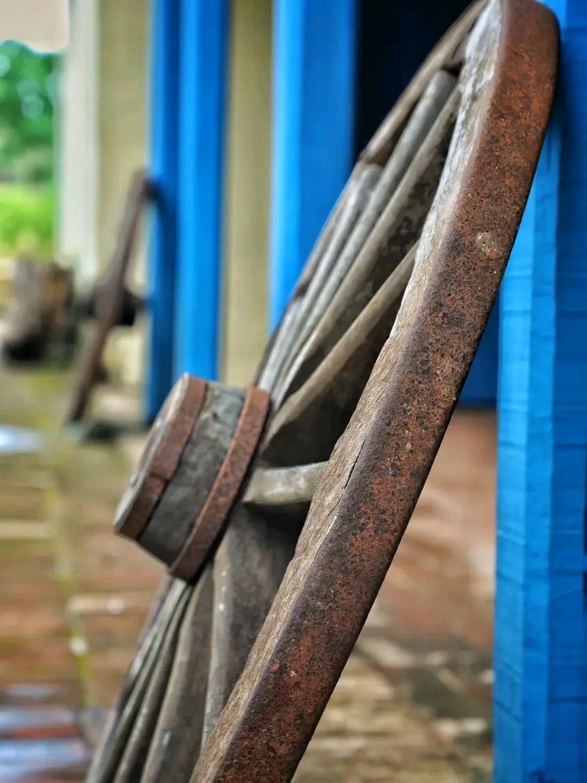 El 🚂 no pasa una sola vez en la vida, pasa todos los días. La vida siempre nos da una nueva oportunidad. 
Buen día 
#TransportEspirituano
#PorUn28EnEl26
.
.
📸 Luis Miguel Quevedo