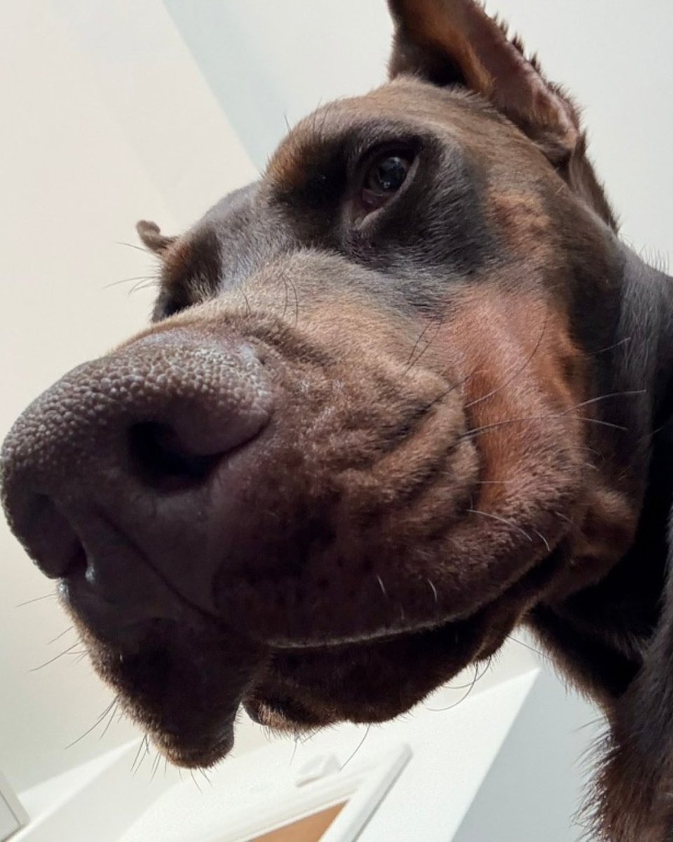 How’s it looking down there? 😅 
Managing a remote team = magic ✨ + chaos. 
They’re crushing tasks from home while I juggle emails, deadlines &amp; client follow-ups. 
Delegation > burnout. Trust your team, keep the ship sailing 🚀 
#RemoteWork #TeamCulture #EntrepreneurTips