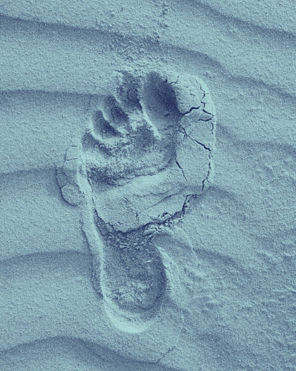 COMPASSnebraska's tweet image. Small steps lead to big changes. At Compass, we’re here to support you on your journey to healing.👣 
Call (308) 237-4085 to schedule your first session today!