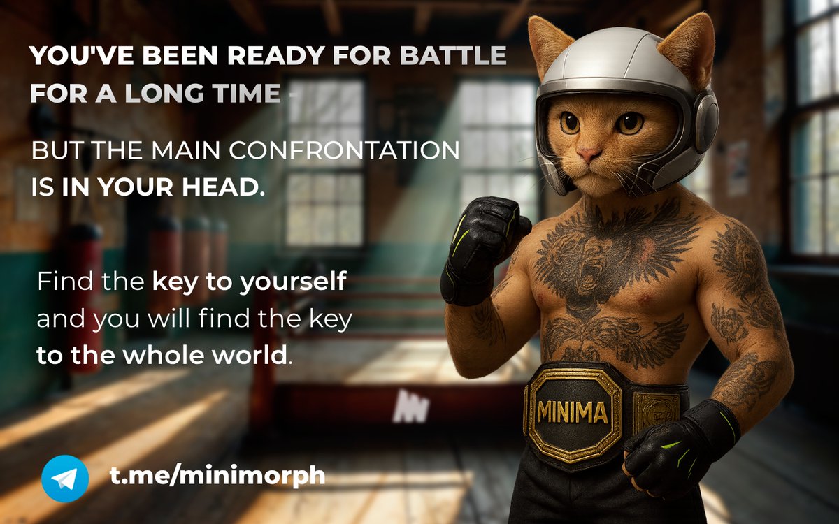 MINIMORPH tweet media