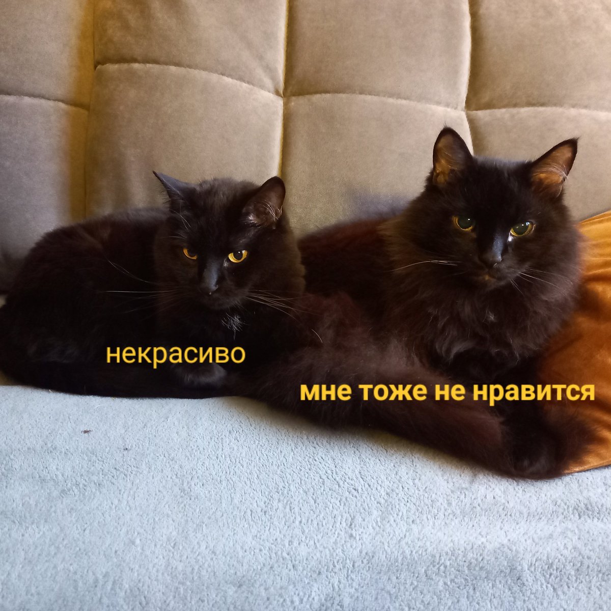kopoushka's tweet photo. @Moonhalf https://t.co/8BNnwUIGBq