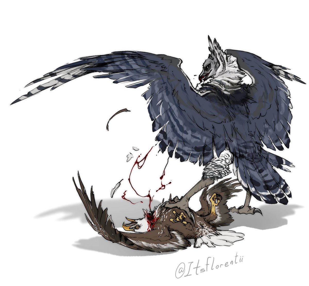 Minha mana harpia brasileira