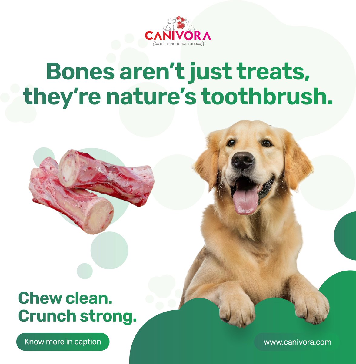 canivora's tweet photo. Chewing raw, meaty, or dehydrated bones supports your dog’s dental health by reducing plaque, strengthening jaws, and providing essential minerals. Avoid cooked bones.
#DogDentalHealth #RawBones #HealthyTeeth #PetWellness #BoneBenefits https://t.co/PGd6XBwPLQ