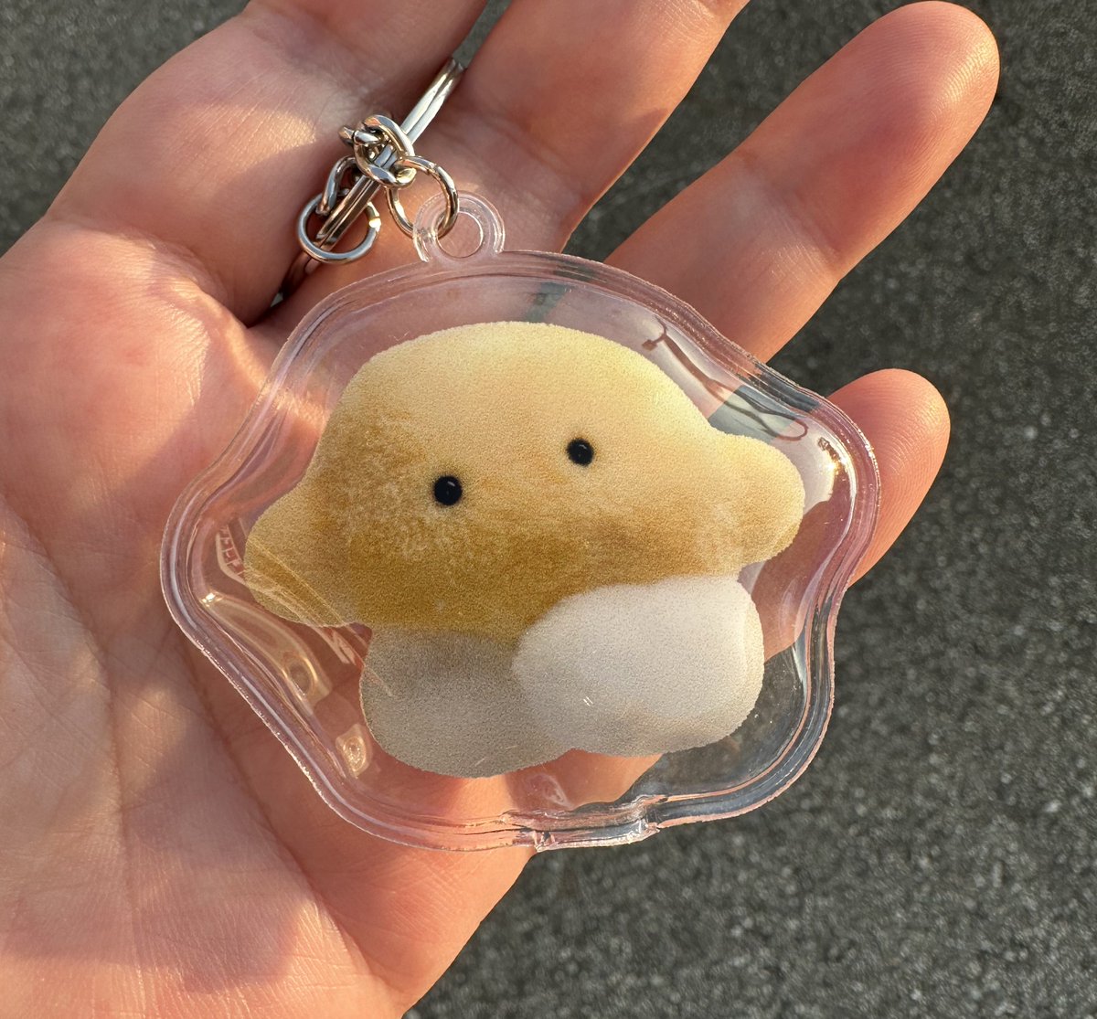 エアーキーホルダー

可愛く仕上がりました　　҉