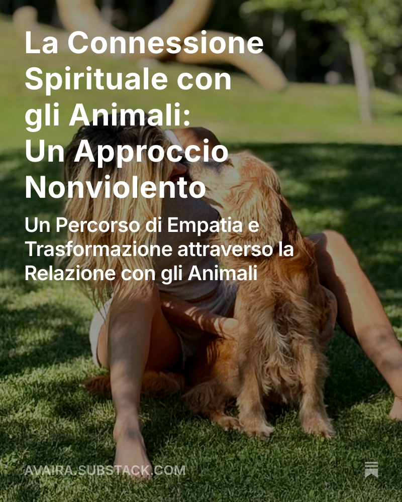 Angelo Vaira tweet media