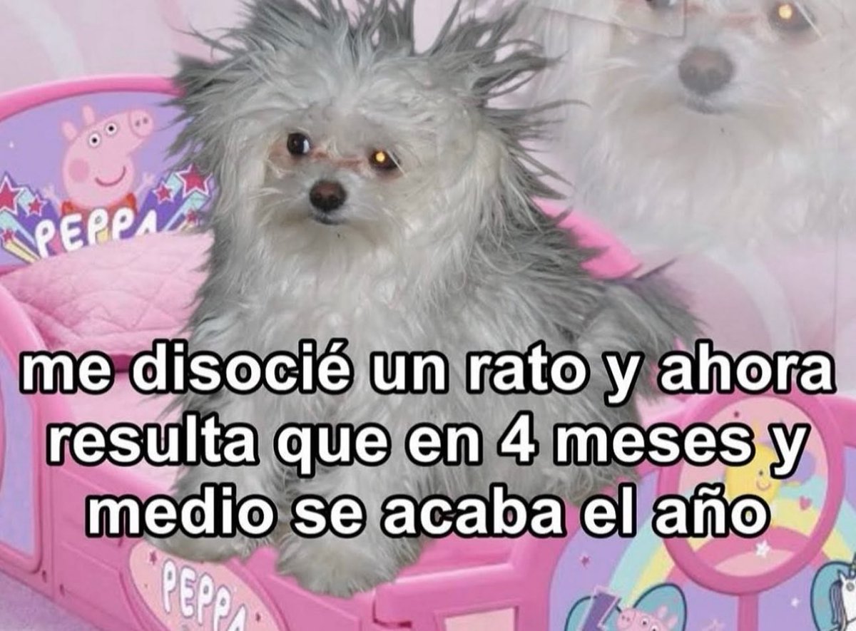 skereunpesado's tweet photo. https://t.co/e0YiGGfIni