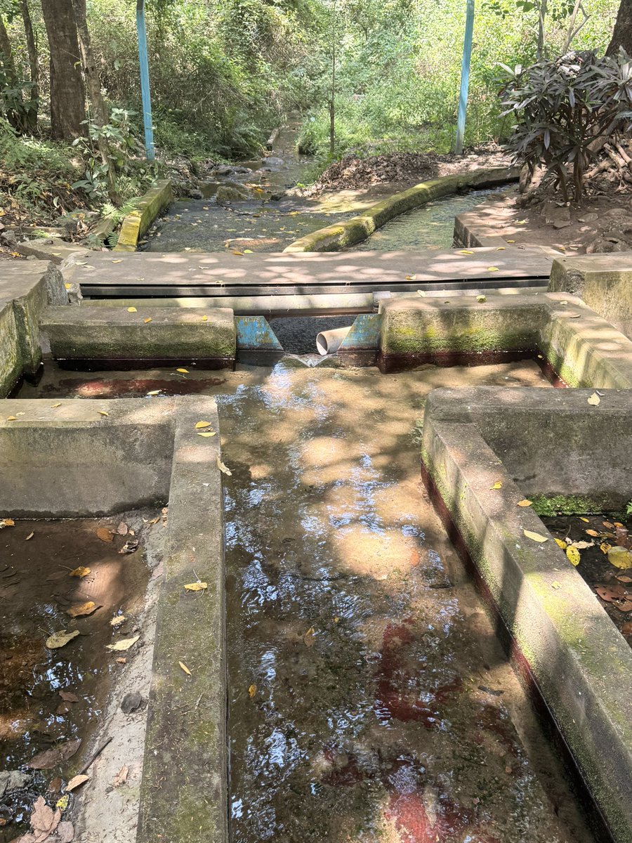 WISE-Futurestz tweet media