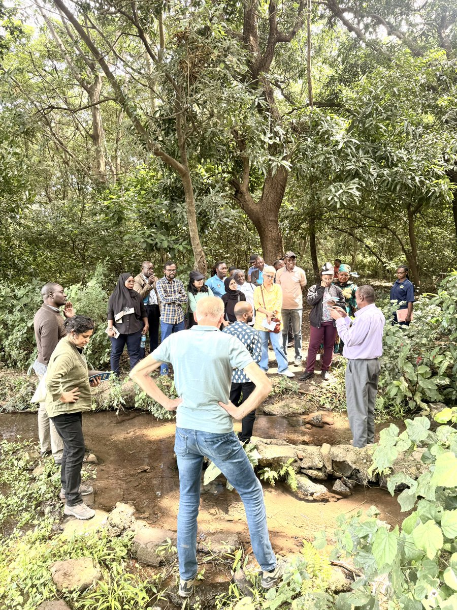 WISE-Futurestz tweet media