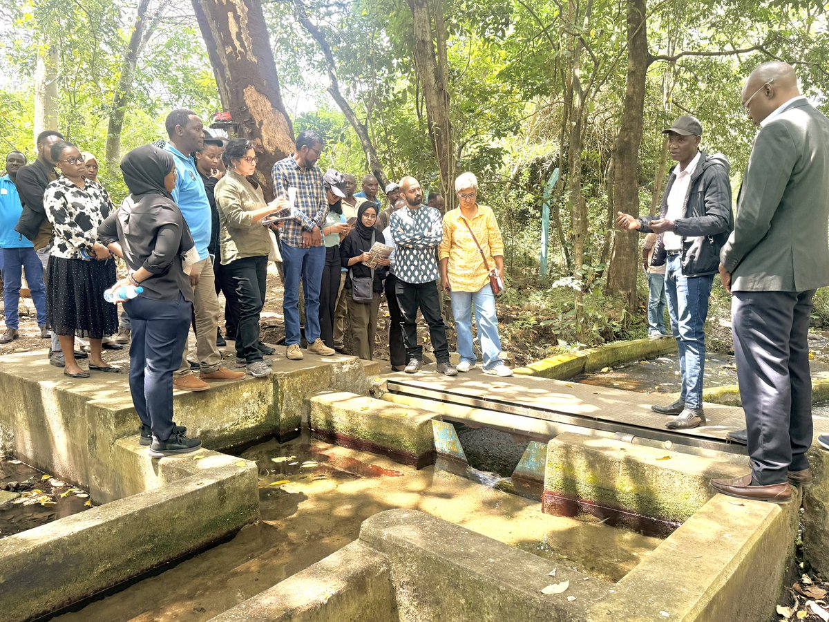 WISE-Futurestz tweet media