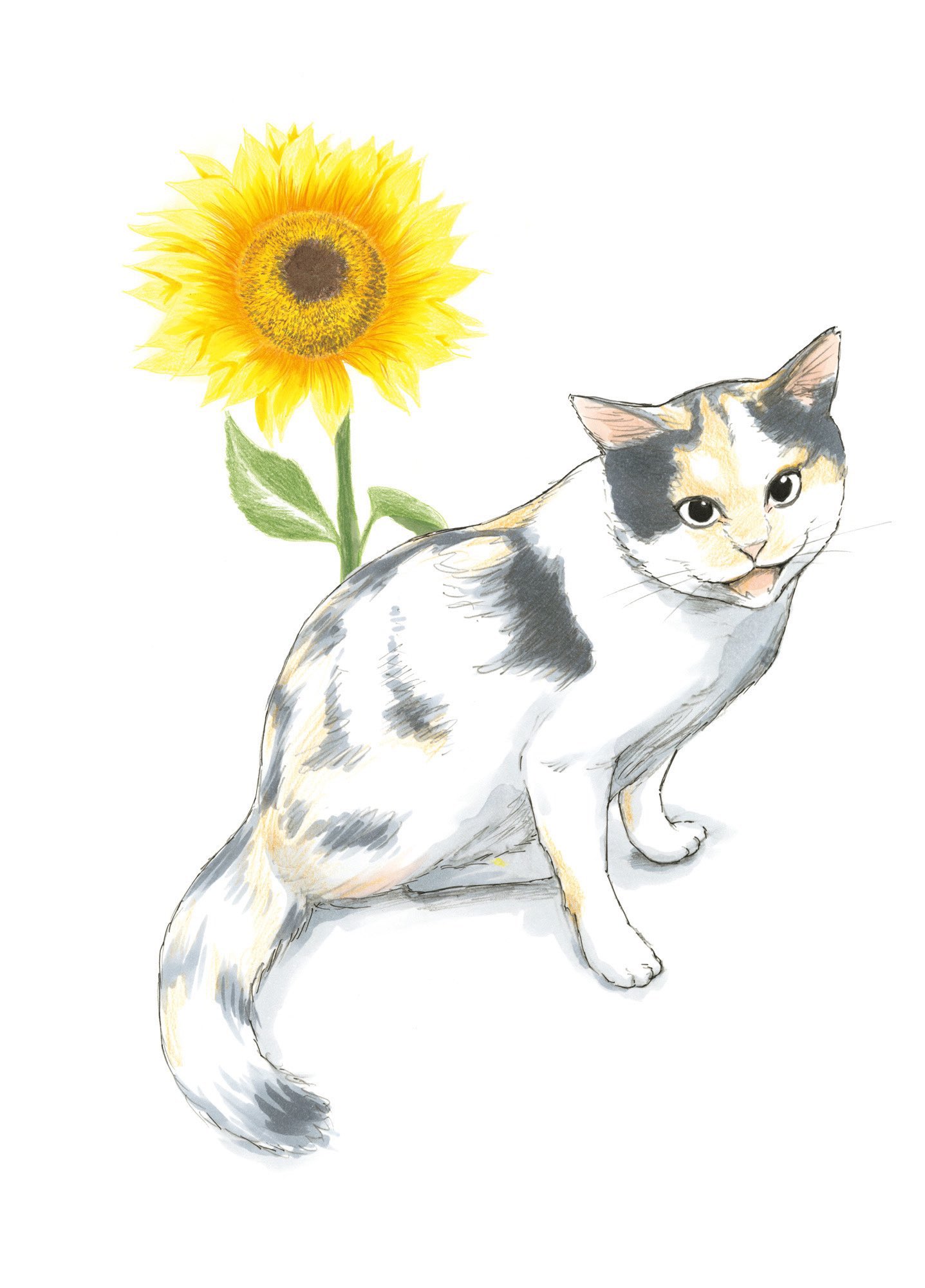 エミリン (@emirin0306) / X