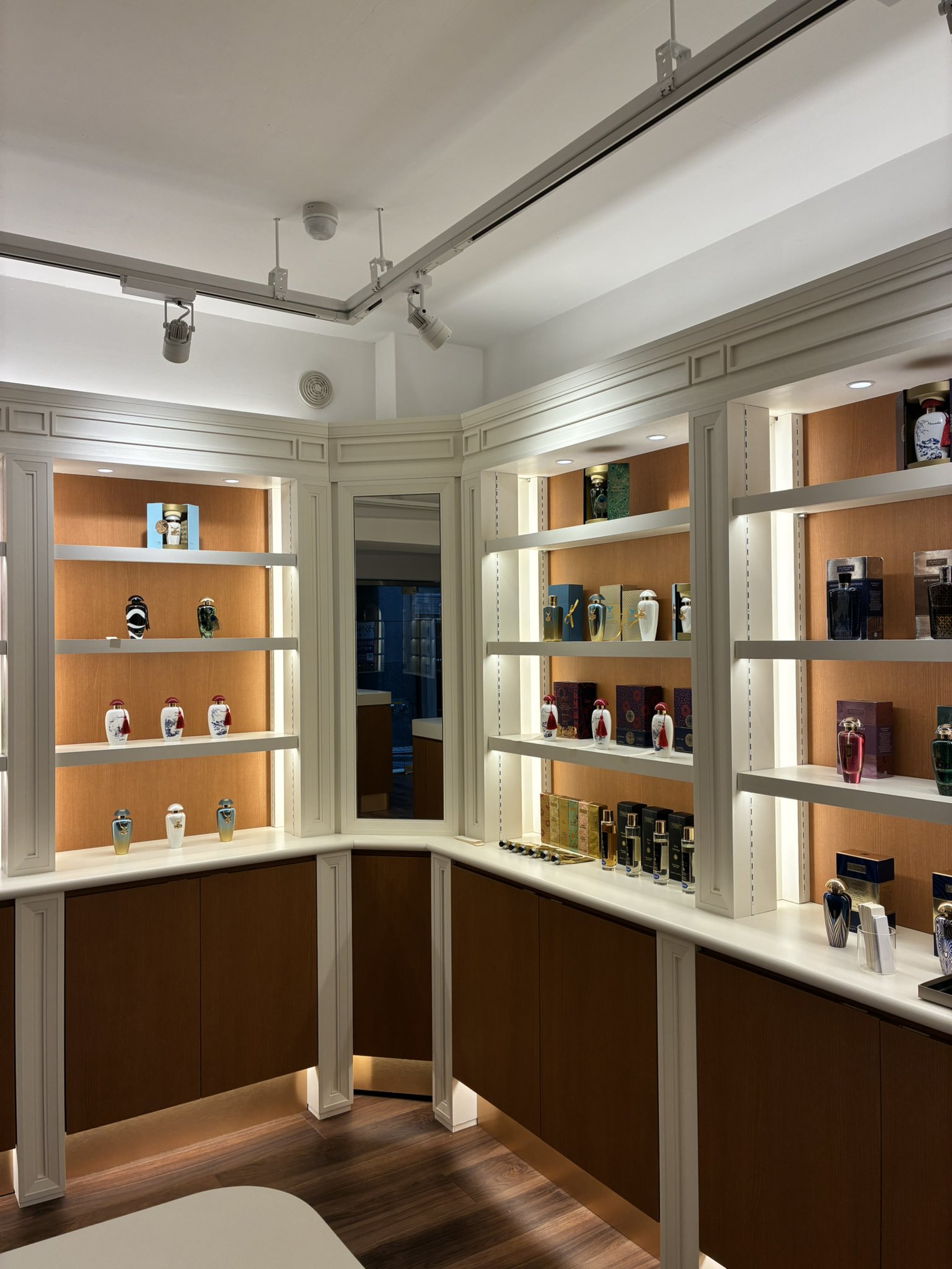 プルメリア⭐︎他の方購入不可 プロフメリア - অনুসন্ধান / X