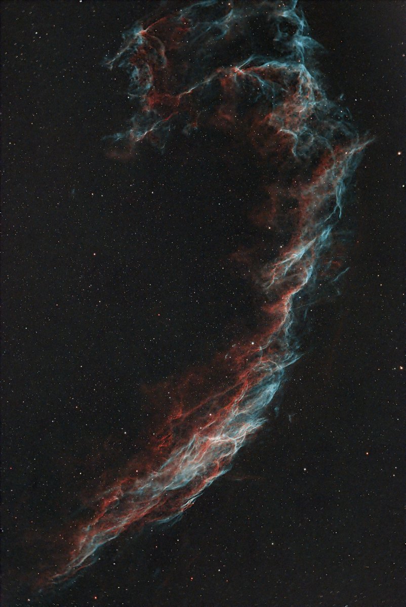 Sa sœur est pas trop mal non plus