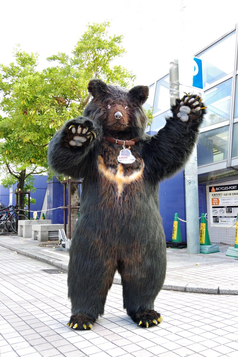 レンタルツキノワグマとかやったら、今だからこそ役立てる場所とかないかな

安心安全に猛獣と触れ合いたいニッチな需要に供給します、リプライでお誘いくださいな(お声かけ後にDMを開放するので)

リアルなクマ… #ツキノワグマ！