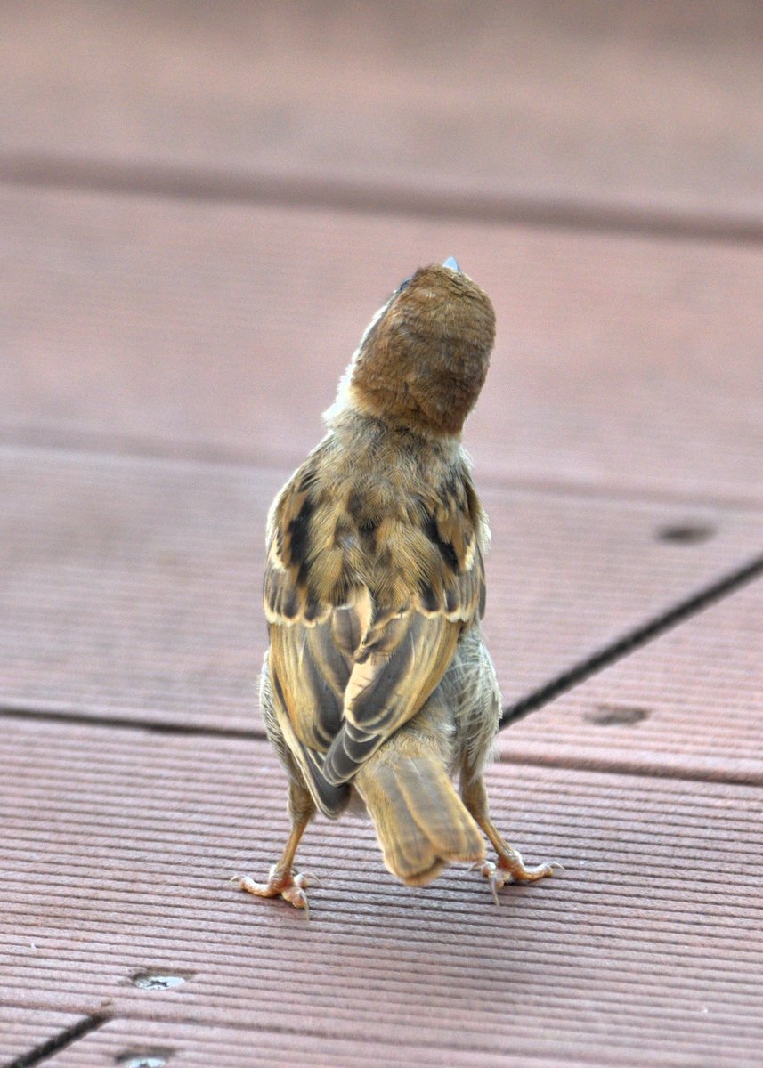 진짜 너무 귀엽다