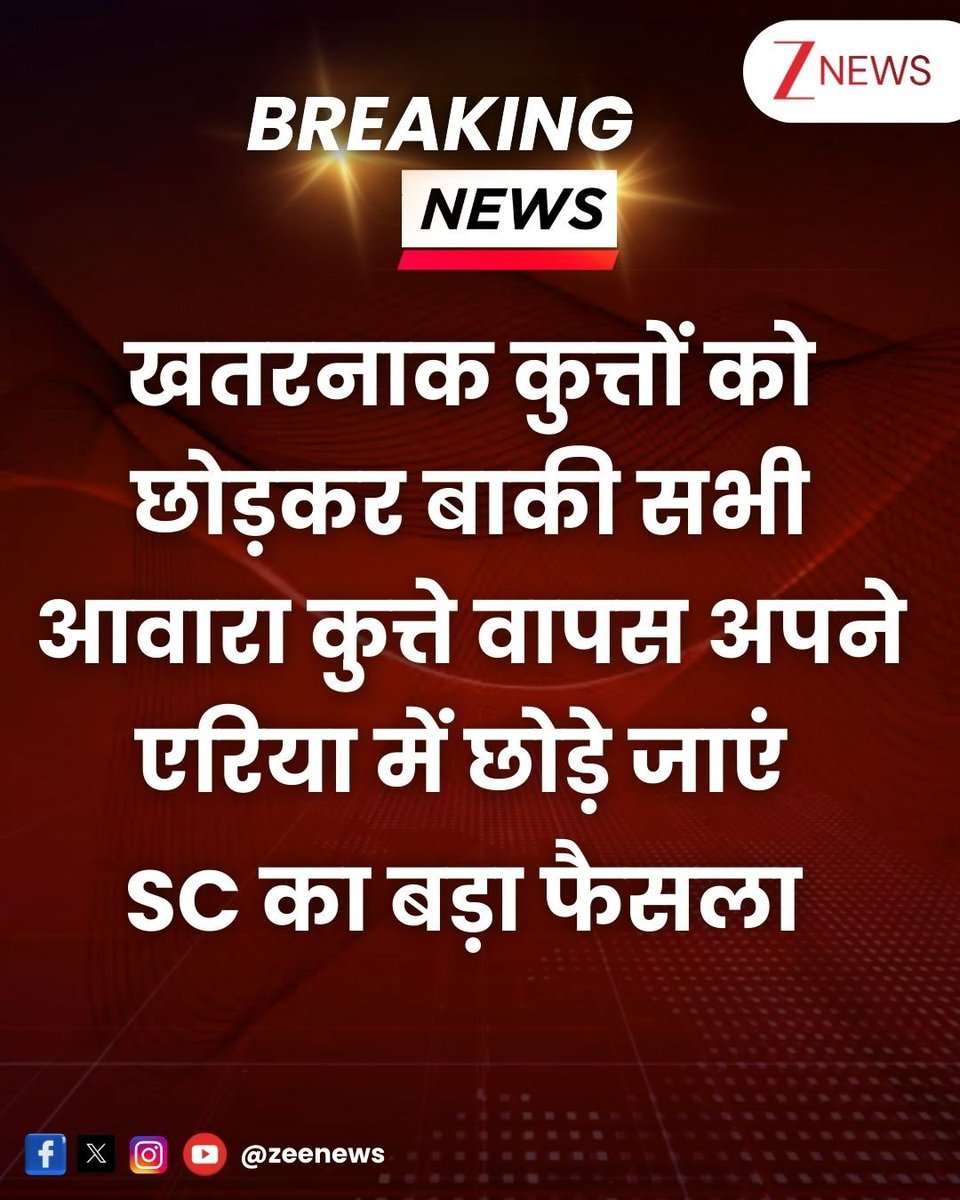 आवारा कुत्तो को शेल्टर होम से छोड़ने का दिया आदेश, पर ज्यादा ख़तरनाक कुत्तो को बाद मे छोड़ने का आदेश #SupremeCourt