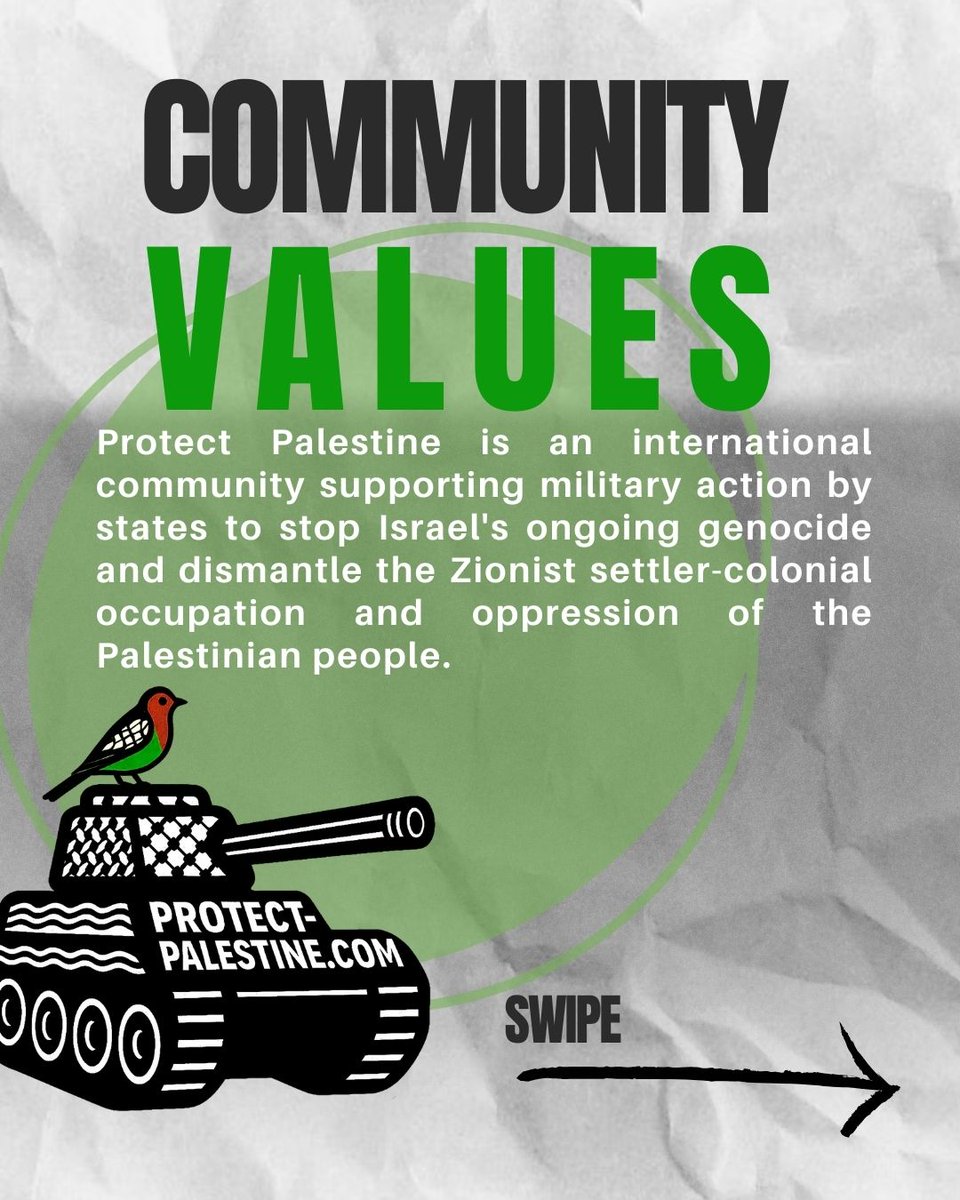 We are proud to announce Protect Palestine Community Values adopted after consultation with 80+ organisations worldwide. 

Protect Palestine is an international community supporting military action by states to stop Israel's ongoing genocide and dismantle the Zionist