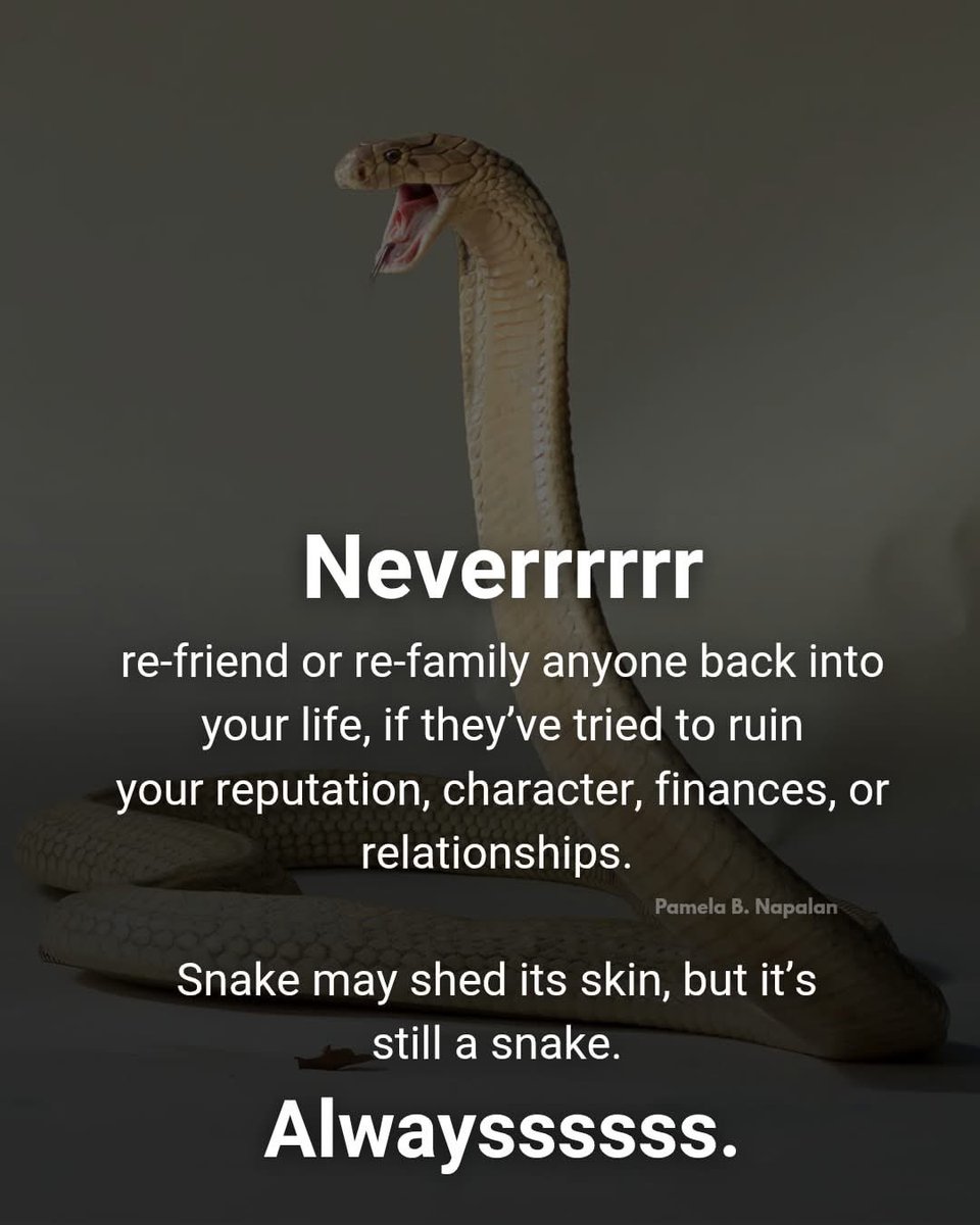 Kala_TheTrader's tweet photo. #WatchOut ‘A snake in the grass’

#NeverLookBack #HiddenAgenda #BlackCatEnergy https://t.co/0ww4m1a1qL