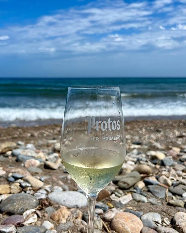 Si activas el modo verano, recuerda siempre tener una copa de Protos Verdejo a mano. 🌊💚
