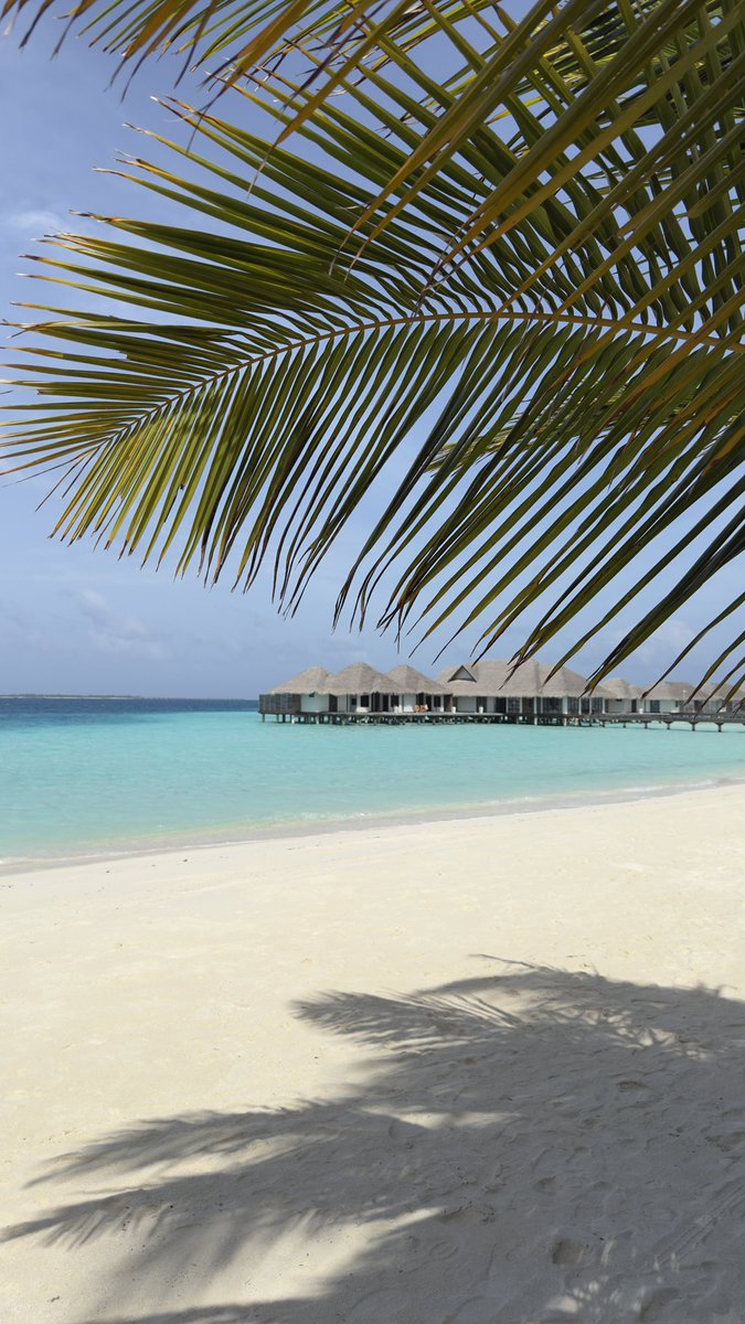 VelassaruM's tweet photo. What’s your favorite view? #naturalisland https://t.co/TlpQjG7mdA
