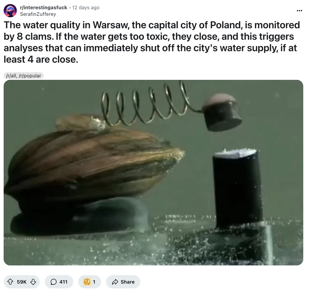 thekitze's tweet image. home automation in poland is wild