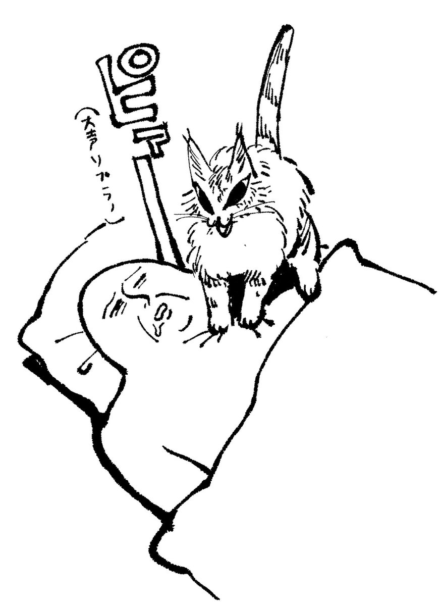 最近朝踏んで起こすようになったねこ 