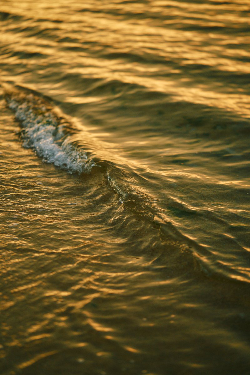 shintake_photo's tweet image. Grateful for the sunset