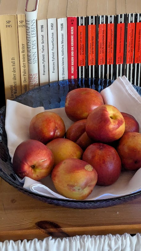 LizCollet's tweet photo. Die Woche geht dem Ende zu: Aus Nektarinen wird hernach Marmelade, derweil die letzten Samstag gefüllte Obst-Schale geleert nach Nachschub lechzt. Die Frühlingszwiebeln sind im Glas weit über ursprüngliche Länge nachgewachsen und landen abends im Kräutertopfen.
#SpareInDerZeit https://t.co/oxFlEdmHJD