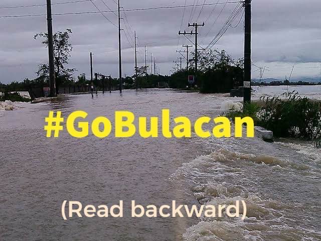 Edu Manzano tweet media