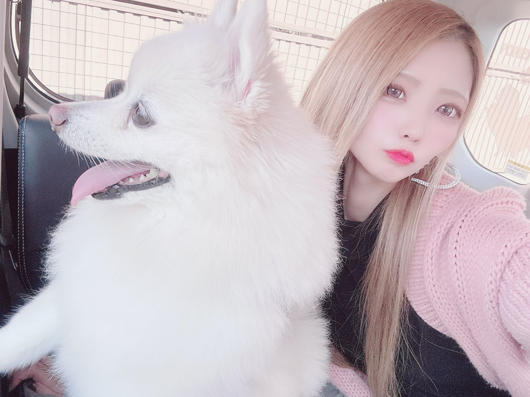 ぴぴページ♡⃜ 楽天市場】2WAYグロッシービスチェ PAGEBOY ページボーイ