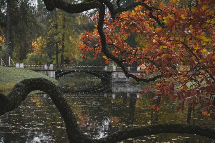 talya9646171863's tweet photo. Best times of the year 🍁🍂 https://t.co/MkKPcPmnZT