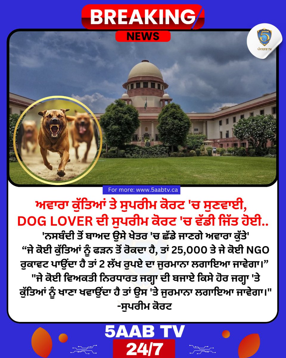ਅਵਾਰਾ ਕੁੱਤਿਆਂ ਦੇ ਮਾਮਲੇ 'ਤੇ ਸੁਪਰੀਮ ਕੋਰਟ 'ਚ ਸੁਣਵਾਈ, 
Dog Lover ਦੀ ਸੁਪਰੀਮ ਕੋਰਟ 'ਚ ਵੱਡੀ ਜਿੱਤ ਹੋਈ.. 

'ਨਸਬੰਦੀ ਤੋਂ ਬਾਅਦ ਉਸੇ ਖੇਤਰ 'ਚ ਛੱਡੇ ਜਾਣਗੇ ਅਵਾਰਾ ਕੁੱਤੇ'