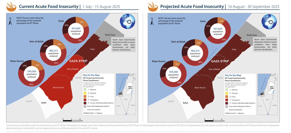 🇵🇸🇮🇱 Gaza alla fame: lo scenario peggiore è arrivato.

IPC conferma che un terzo della popolazione della Striscia vive oggi condizioni catastrofiche (carestia).

32% catastrofe
58% emergenza
10% crisi

Una realtà durissima che neppure oggi metterà a tacere i negazionisti.