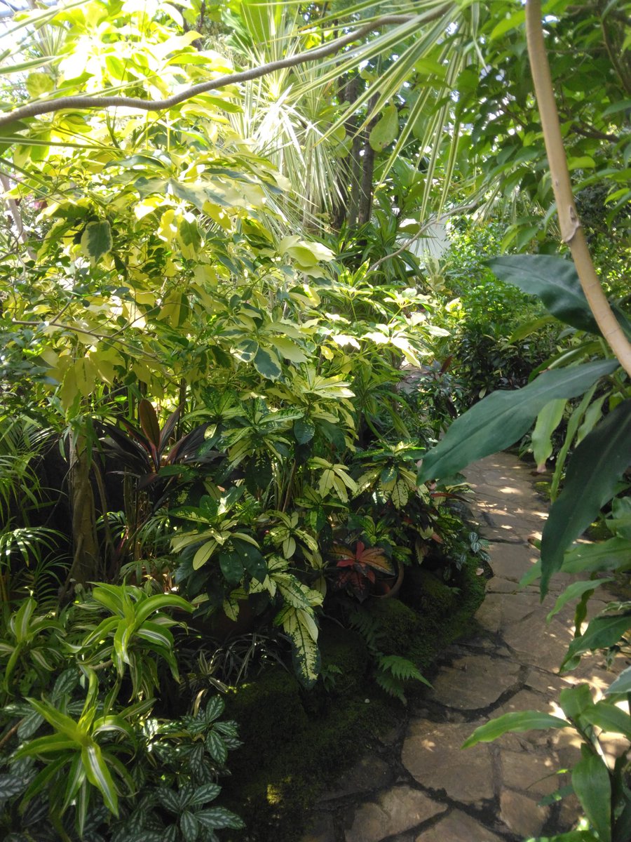 今日は休みだったから、直送野菜とか売ってるパーク的なとこに行ってきた！
暑いからあまりいれなったけど、野菜がすごく安くてテンション上がった笑
玉ねぎは、彼女のw
絶対玉ねぎだけは、買わない🤣