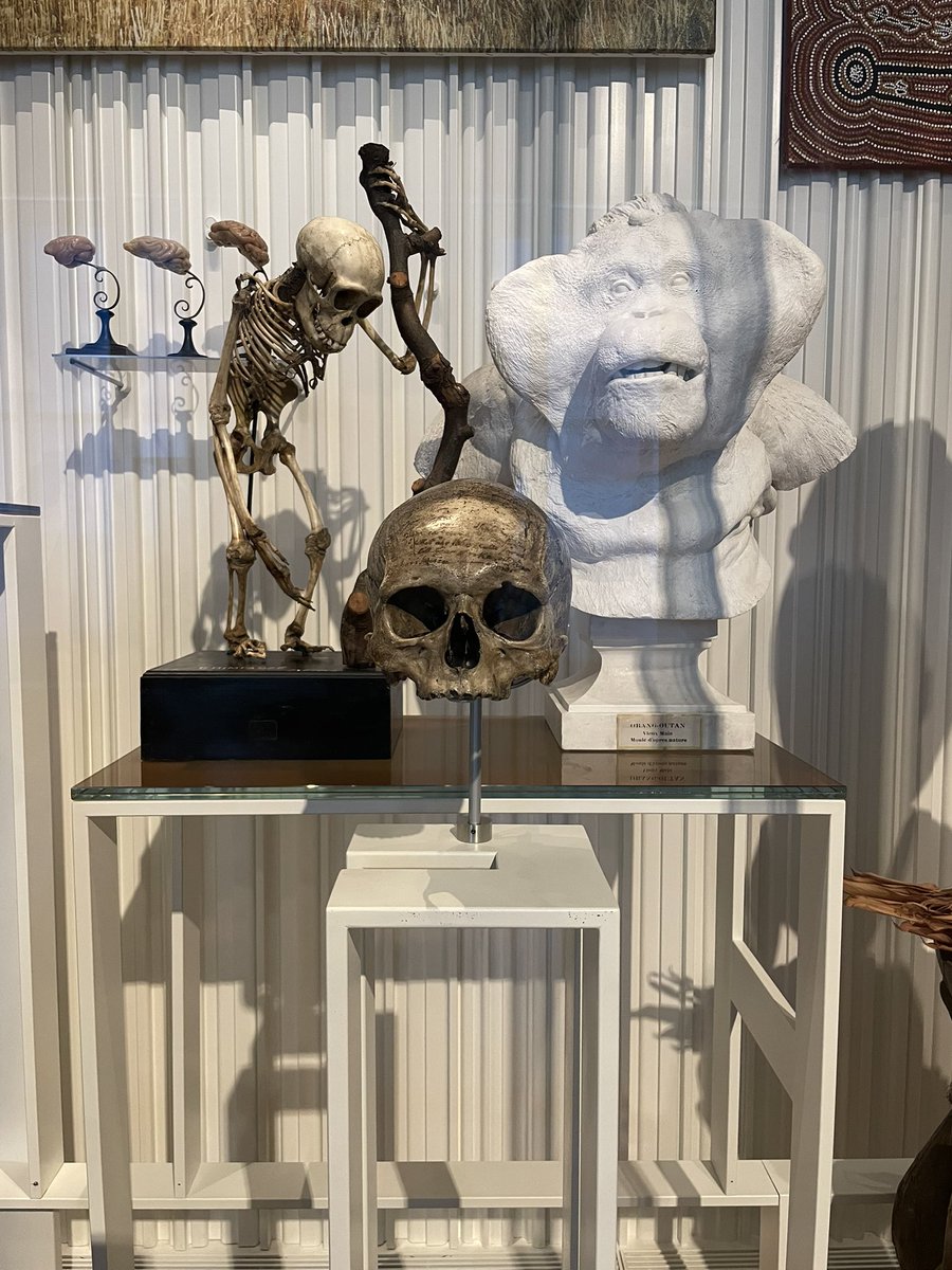 解剖学系の展示も多い人間博物館は、考古学・人類学と自然科学が融合した世界観で、先史時代から新石器時代までの展示が中心。こちらの頭蓋骨は、ルネ・デカルトのものとして展示(久しぶりに再会)。価値判断を抜きにして、西欧の博物学的知の一端に触れる、興味深いものです。
