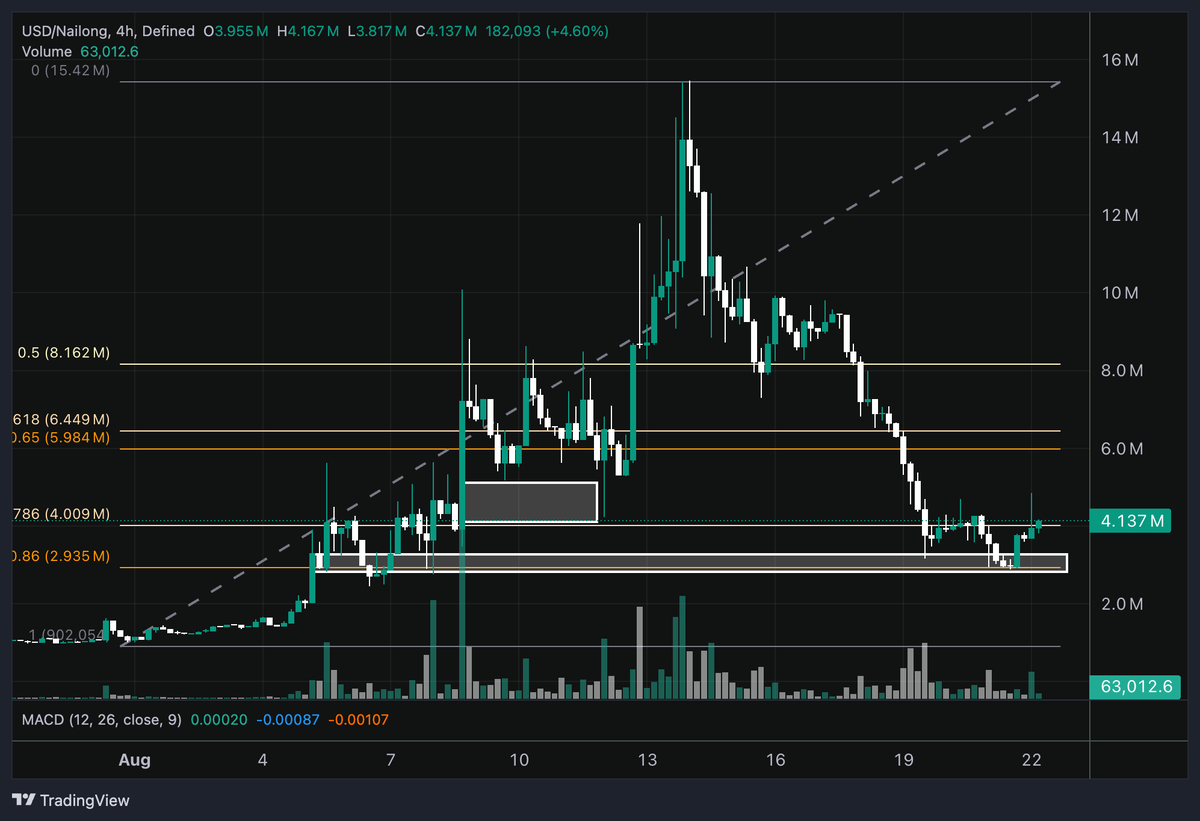 𝐓 | 𝐀 tweet media