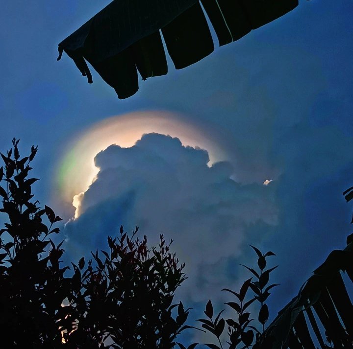 ยังชอบท้องฟ้าเหมือนเดิม ... แต่ แค่ไม่ได้แสดงออกมาอีกแล้ว (เธอก็รู้ ว่า เราไม่ได้หมายถึงท้องฟ้า)

#มุมเล็กๆ #ท้องฟ้า #คำคม #คำคมความรัก
#แคปชั่น #คําคมความรู้สึก #แคปชั่นน่ารัก